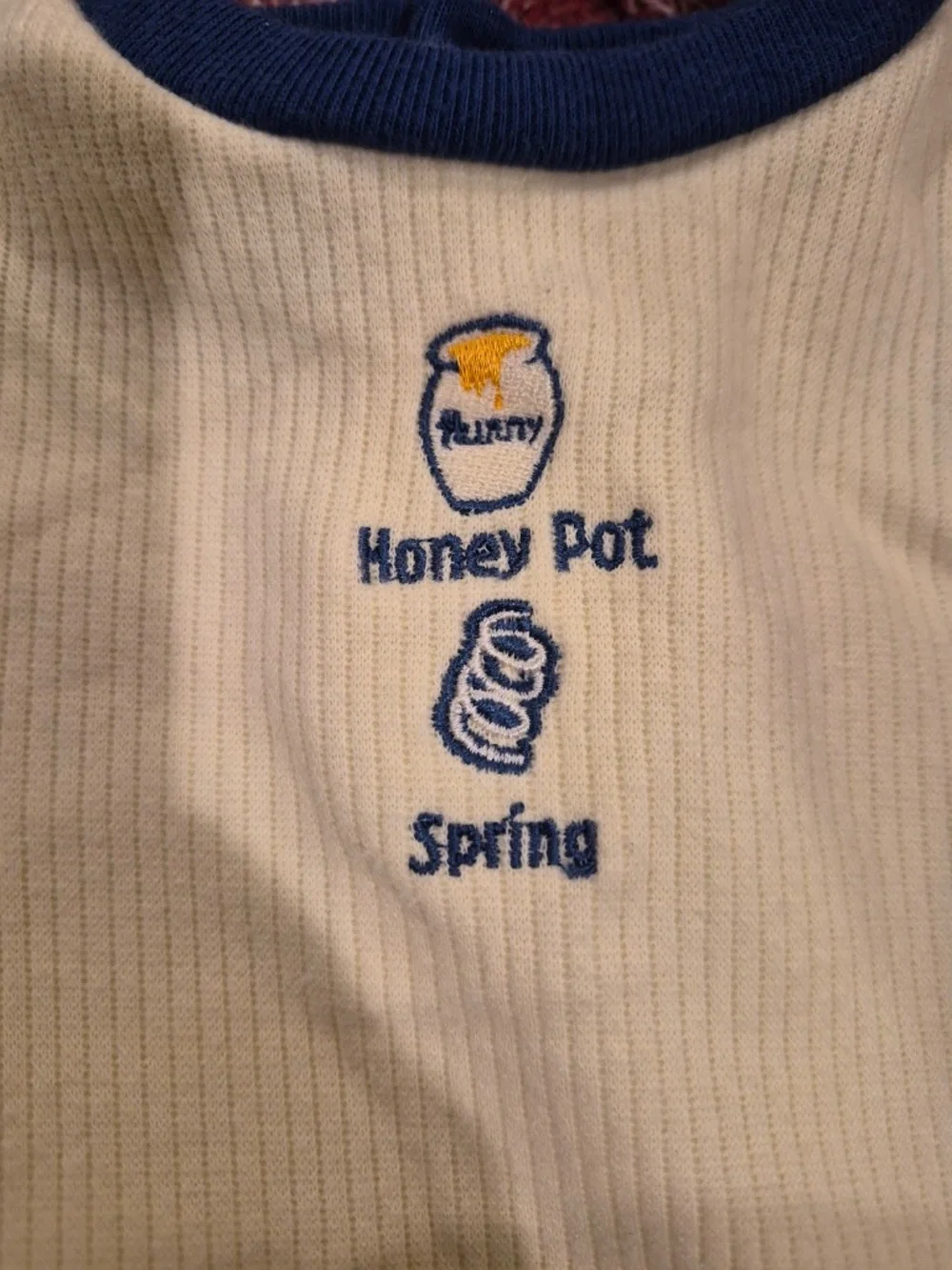 Vintage Disney Pooh 100 Acre Collection Baby Boy Shortalls & Bodysuit Set